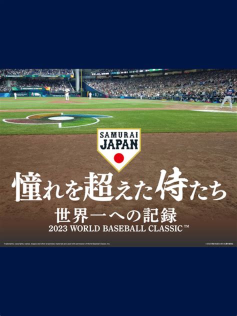 ジャンルを超えた115点の作品を展示 〝 窓〞から見る。